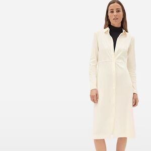 Everlane The Luxe Cotton Shirtdress